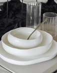 BRICARD BARLES 6-PERSON 25-PIECE DINNERWARE SET