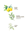 EYUP SABRI TUNCER LINGETTE RINCE DOIGTS | CITRON&VERVEINE | 150 PIECES