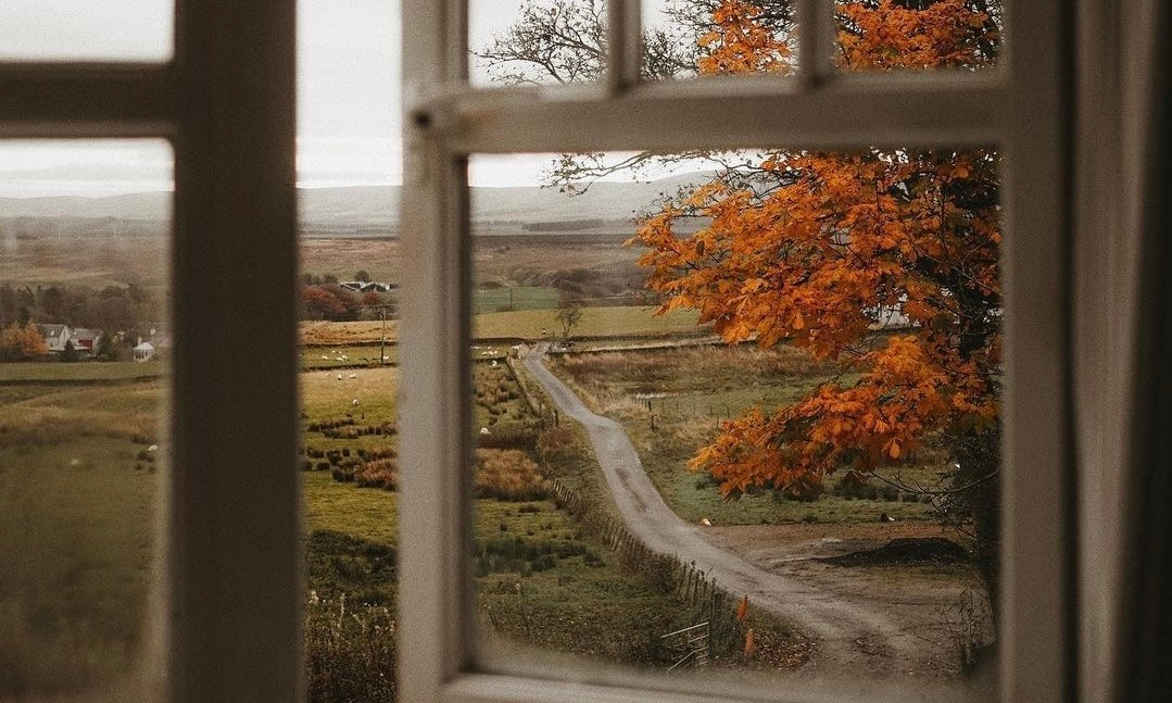 Sélection d’automne : créer une ambiance chaleureuse et élégante dans votre maison