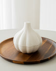 BOITE DE CONSERVATION TROMPE L'OEIL GARLIC